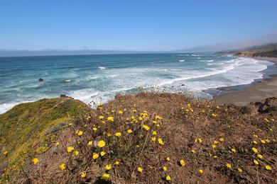 Sandee - Westport Beach