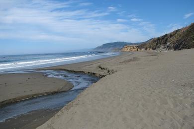 Sandee - Westport Beach