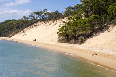 Sandee Tamarind Beach Photo