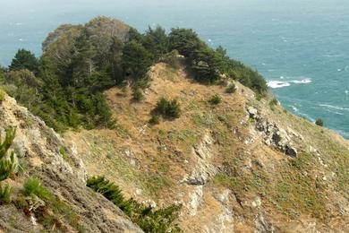 Sandee - Point Bonita Lighthouse Beach