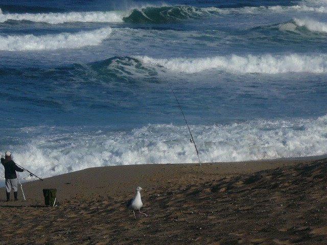 Sandee - Indian Head Beach