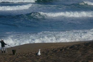 Sandee - Indian Head Beach