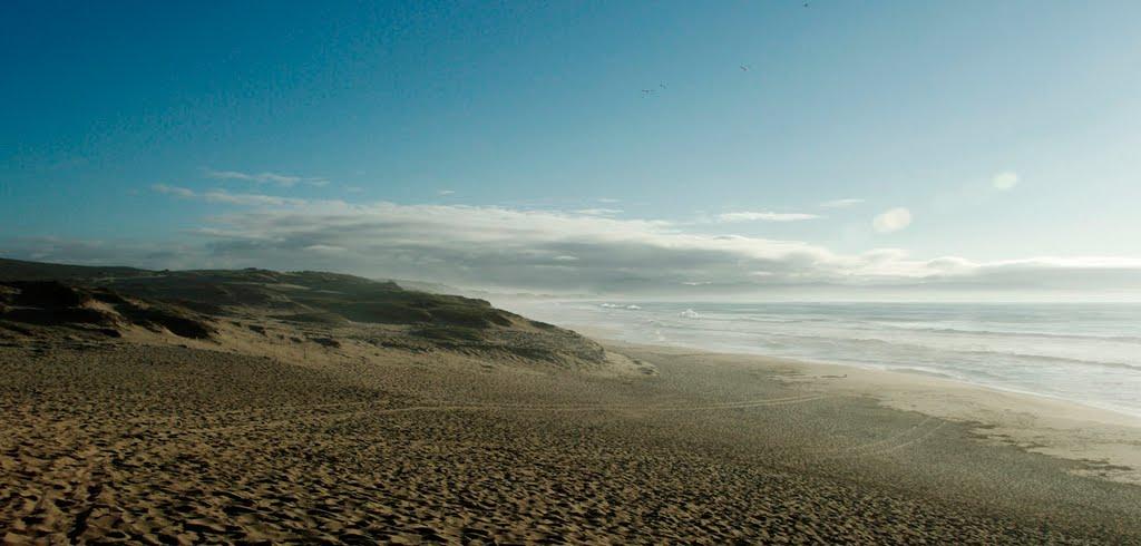 Sandee Marina Dunes Beach Photo