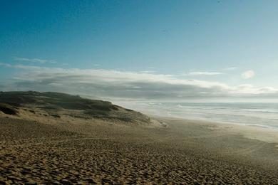 Sandee Marina Dunes Beach Photo