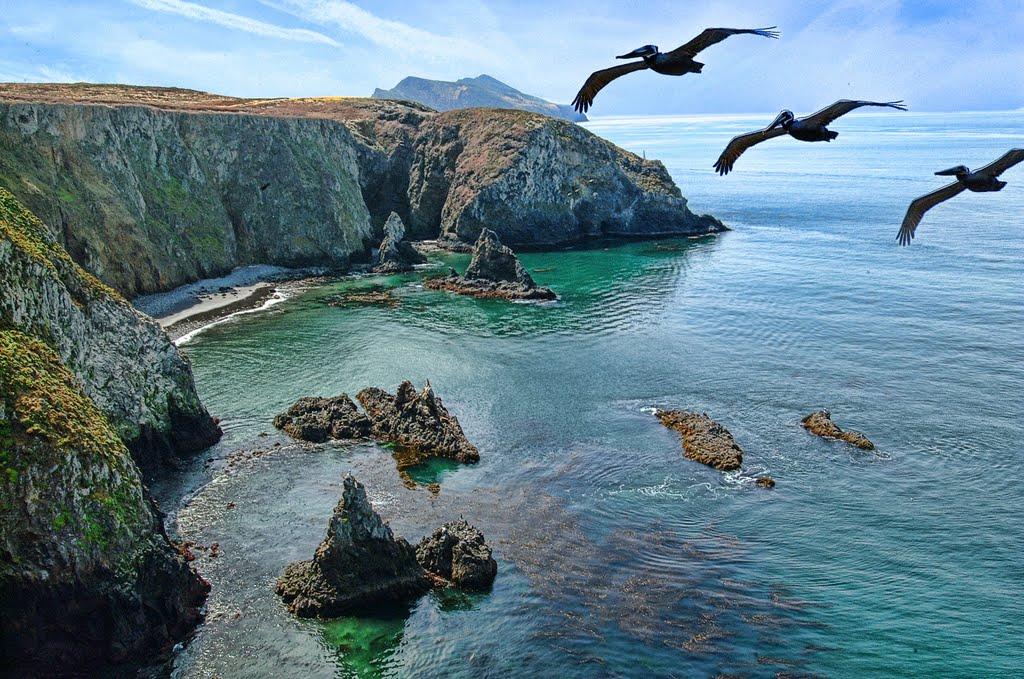 Anacapa Isle