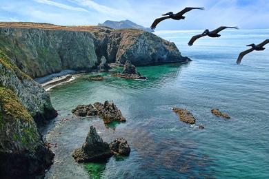 Sandee Anacapa Island - Frenchy's Cove