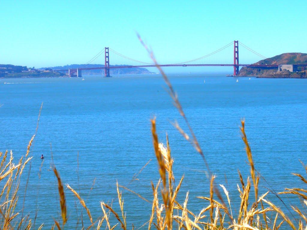 Sandee - Angel Island State Park