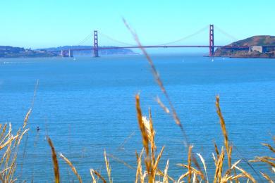 Sandee - Angel Island State Park