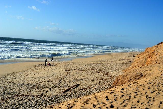 Sandee - Marina State Beach - South Beach