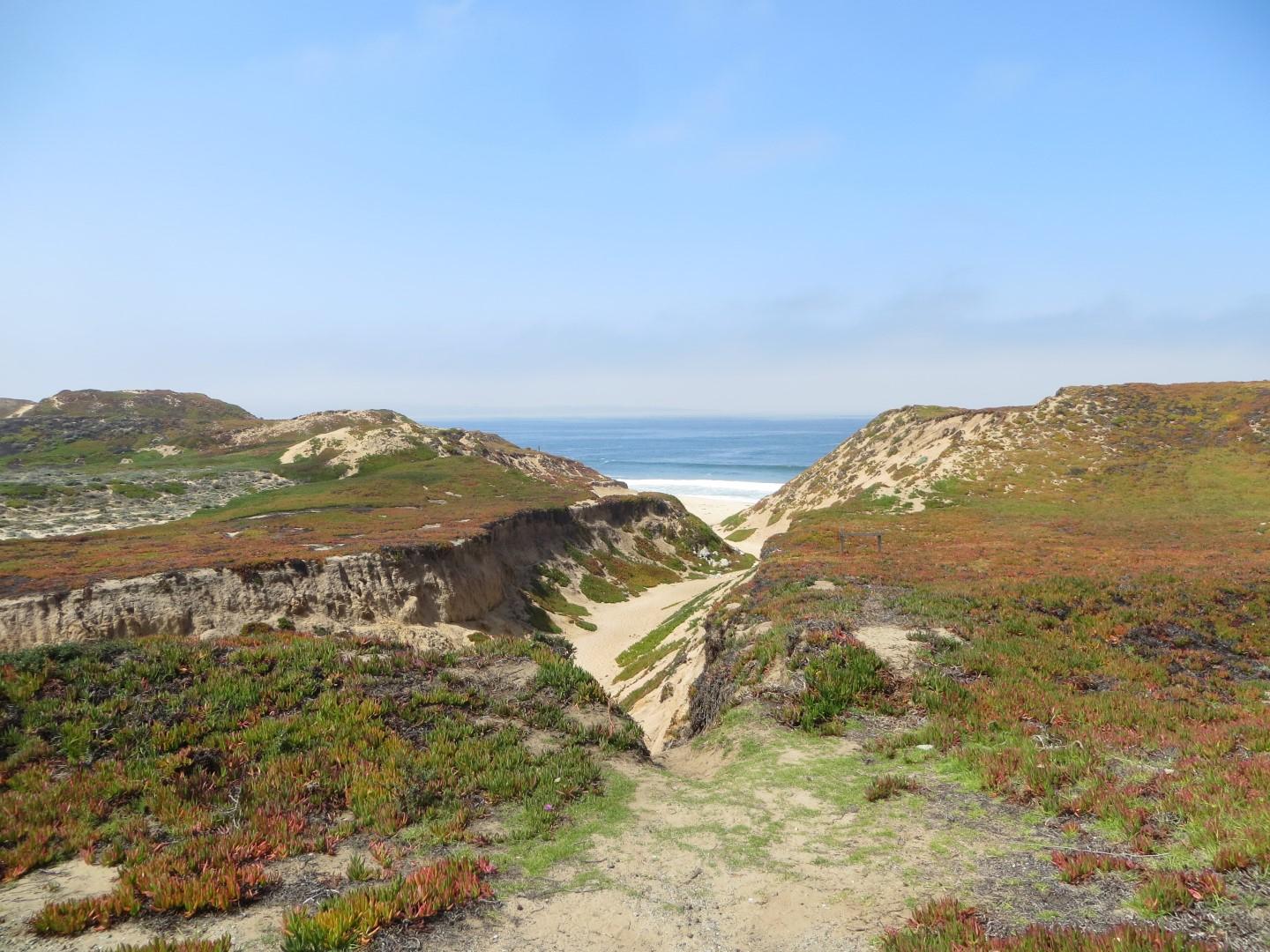 Sandee - Salinas River National Wildlife Refuge