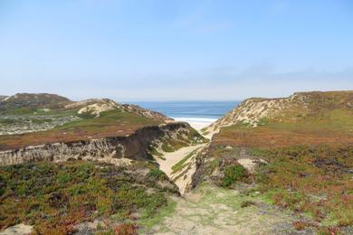 Sandee - Salinas River National Wildlife Refuge