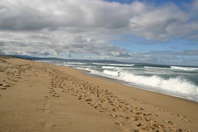 Sandee - Marina State Beach - South Beach