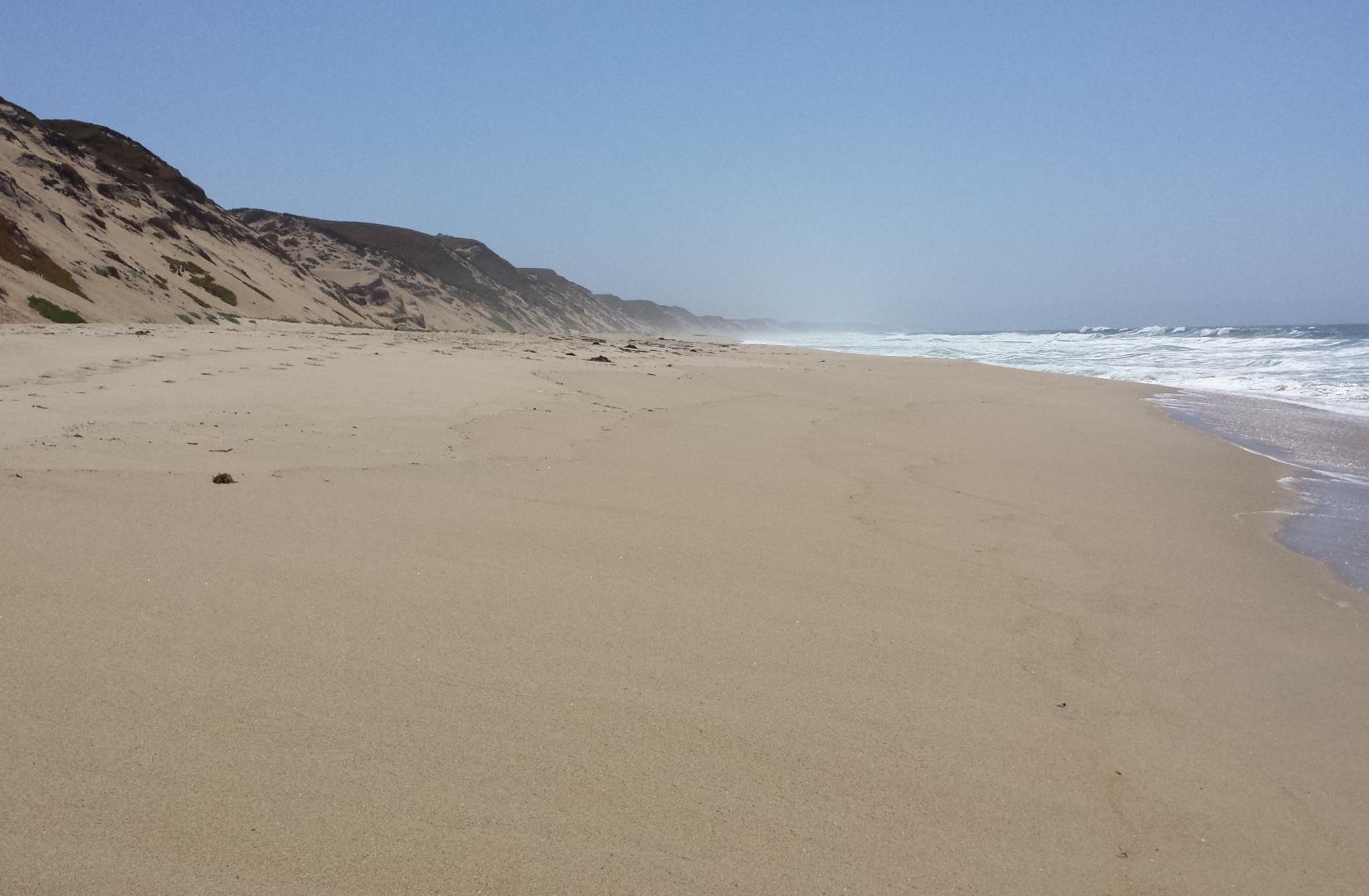 Sandee - Salinas River National Wildlife Refuge