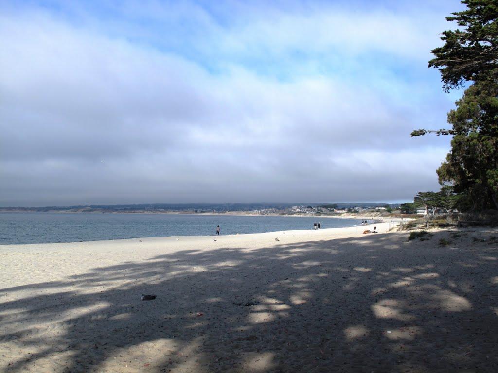 Sandee - Monterey Municipal Beach