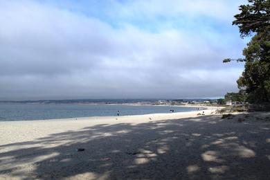 Sandee - Monterey Municipal Beach