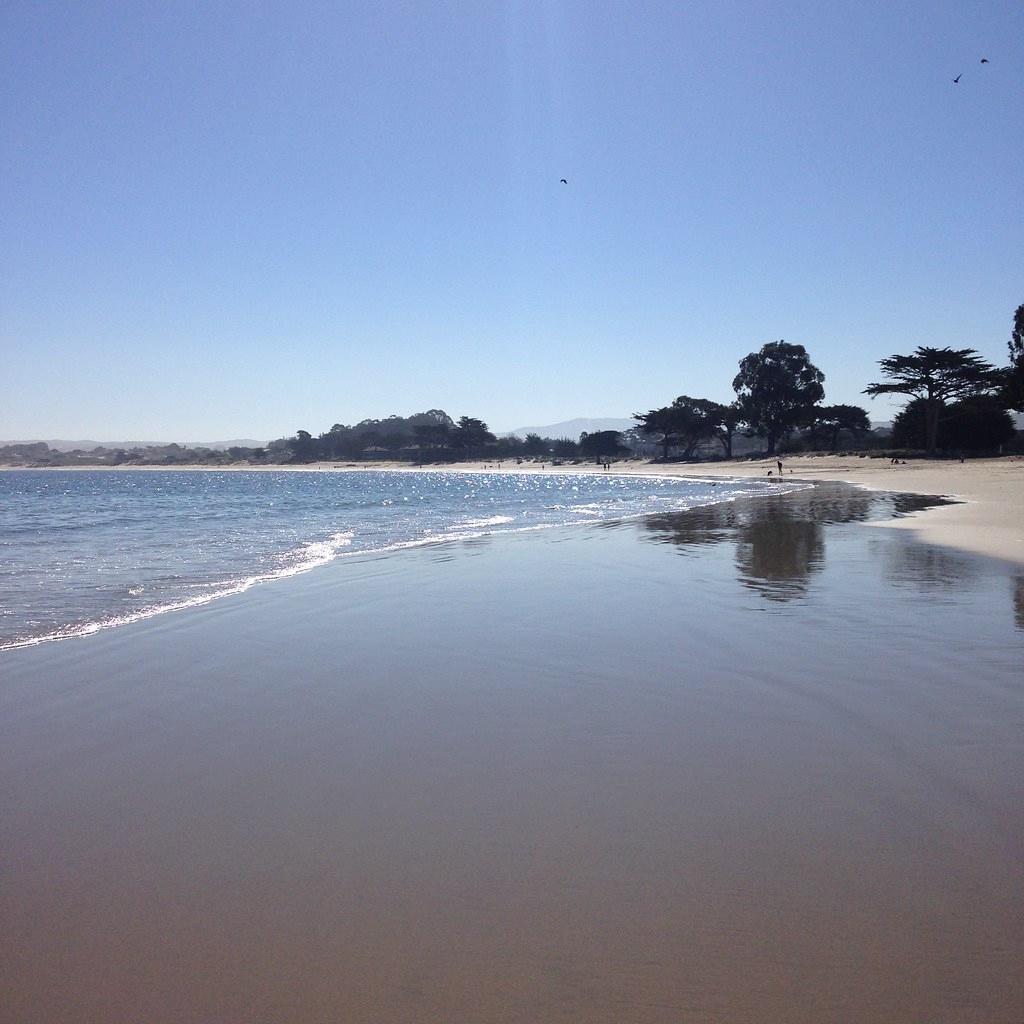 Sandee - Monterey Municipal Beach