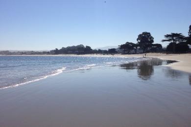 Sandee - Monterey Municipal Beach