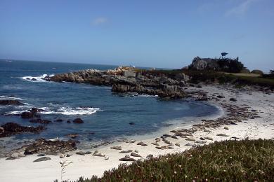 Sandee Monterey Municipal Beach Photo