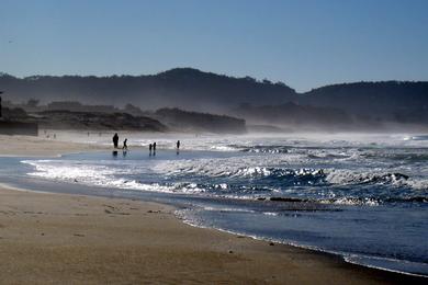 Sandee - Monterey State Beach - Roberts Beach