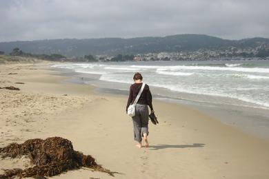 Sandee - Monterey State Beach - Roberts Beach