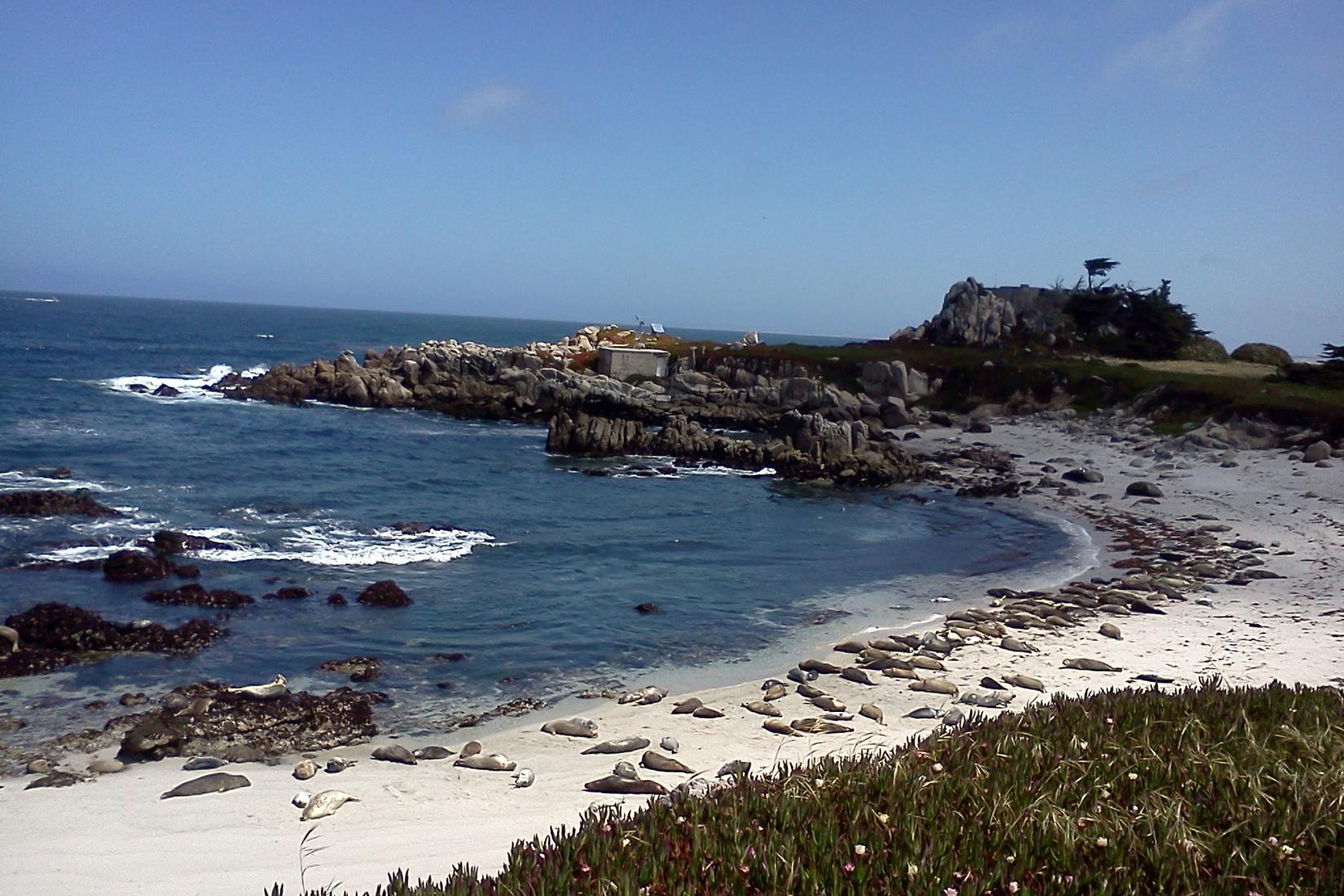 Sandee - Monterey State Beach - Roberts Beach