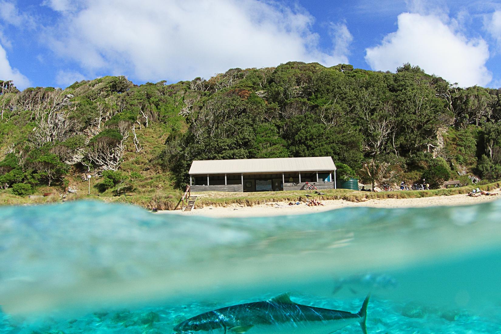 Sandee - HomePage / Lord Howe Island