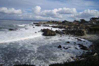 Sandee Hopkins Marine Station Beach