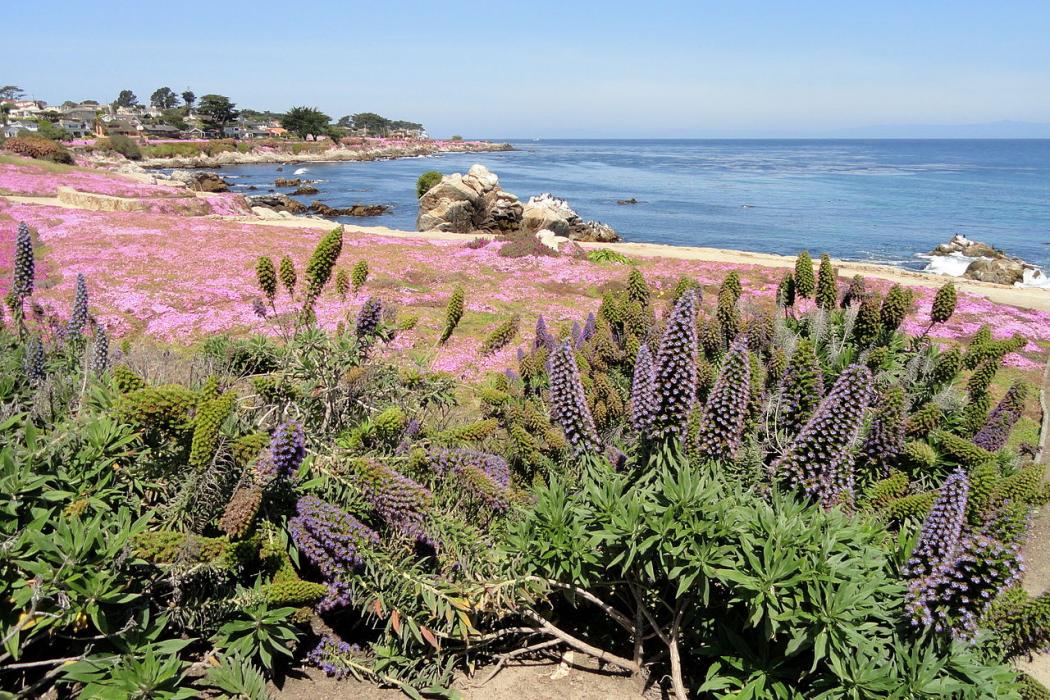 Sandee Perkins Park Photo