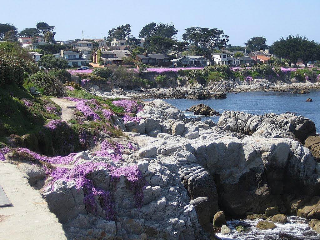 Sandee - Berwick Park Beach