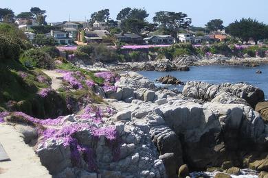 Sandee - Berwick Park Beach