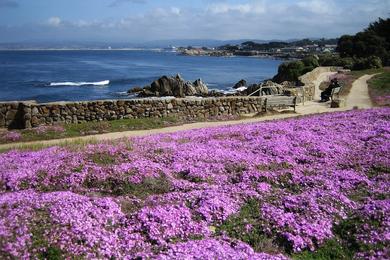 Sandee Berwick Park Beach Photo