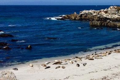 Sandee Point Pinos Beach Photo