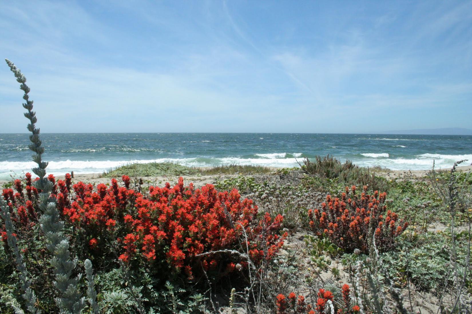 Sandee - Salinas River State Beach - Moss Landing Entrance