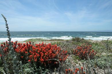 Sandee - Salinas River State Beach - Moss Landing Entrance