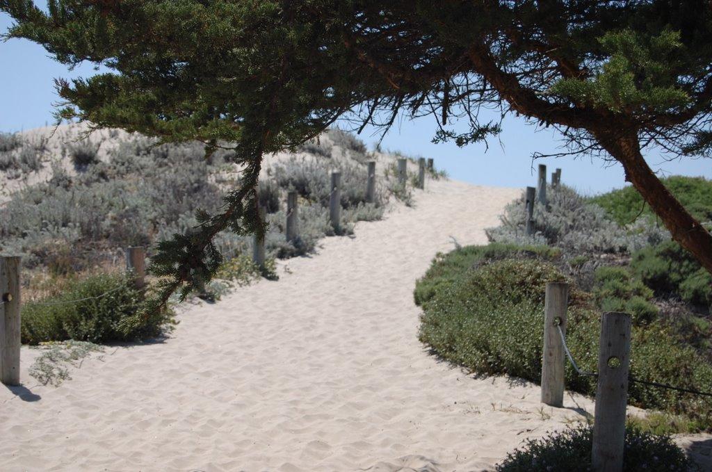 Sandee - Salinas River State Beach - Moss Landing Entrance