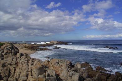 Sandee - Point Pinos Beach