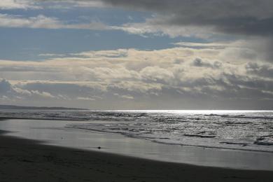 Sandee - Salinas River State Beach - Moss Landing Entrance