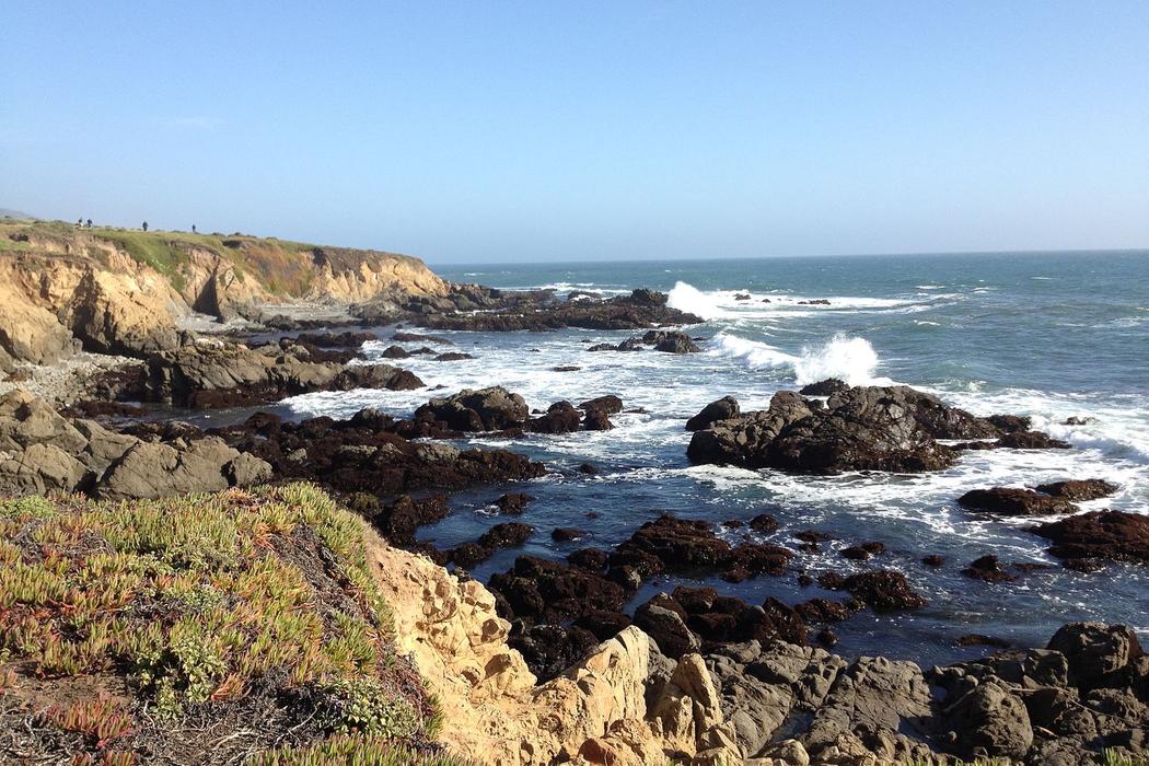 Sandee Fiscalini Ranch Preserve