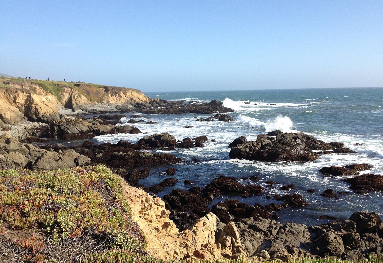 Sandee - Fiscalini Ranch Preserve