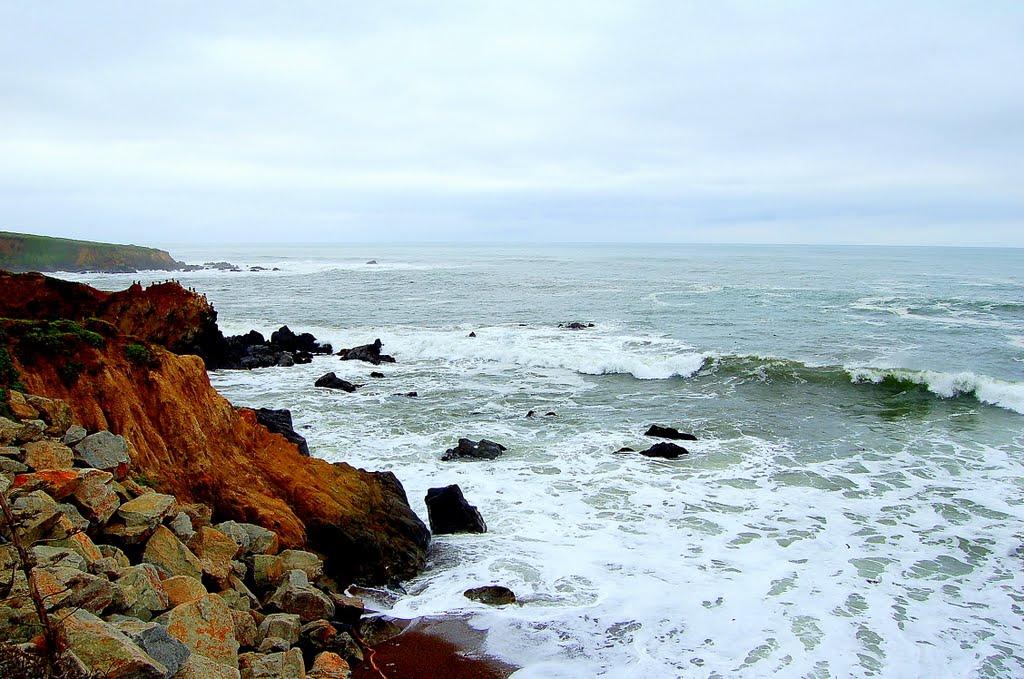 Sandee - Fiscalini Ranch Preserve