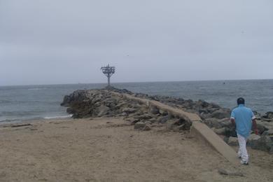 Sandee - Moss Landing Wildlife Area