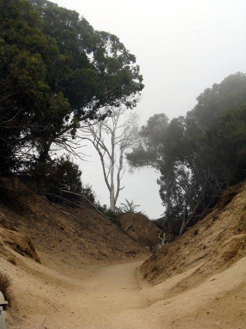 Sandee - Manresa State Park - Manresa Uplands Beach