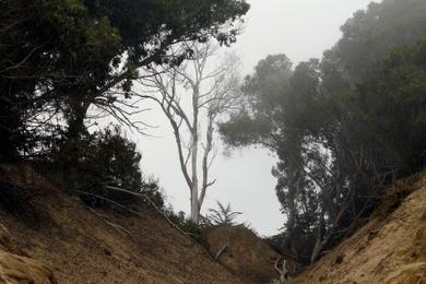 Sandee - Manresa State Park - Manresa Uplands Beach