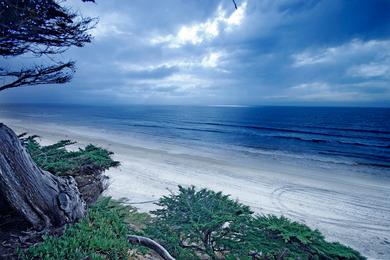 Sandee - Manresa State Park - Manresa Uplands Beach