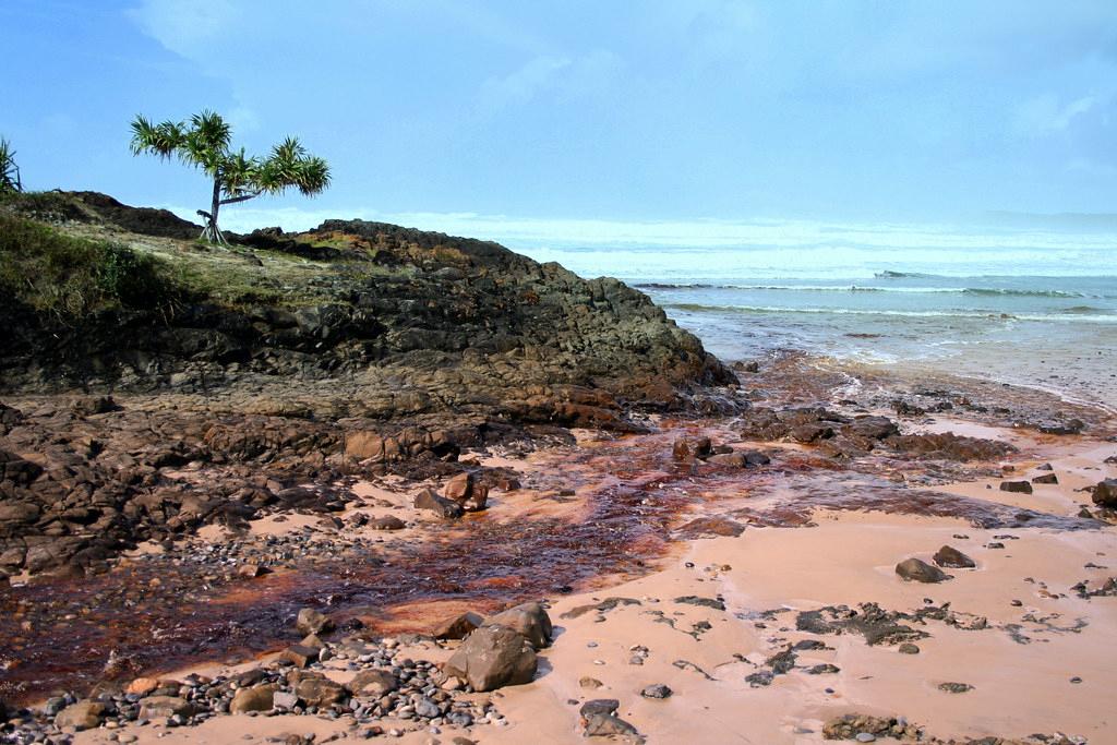 Sandee - Evans Head Beach