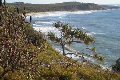 Sandee - Evans Head Beach