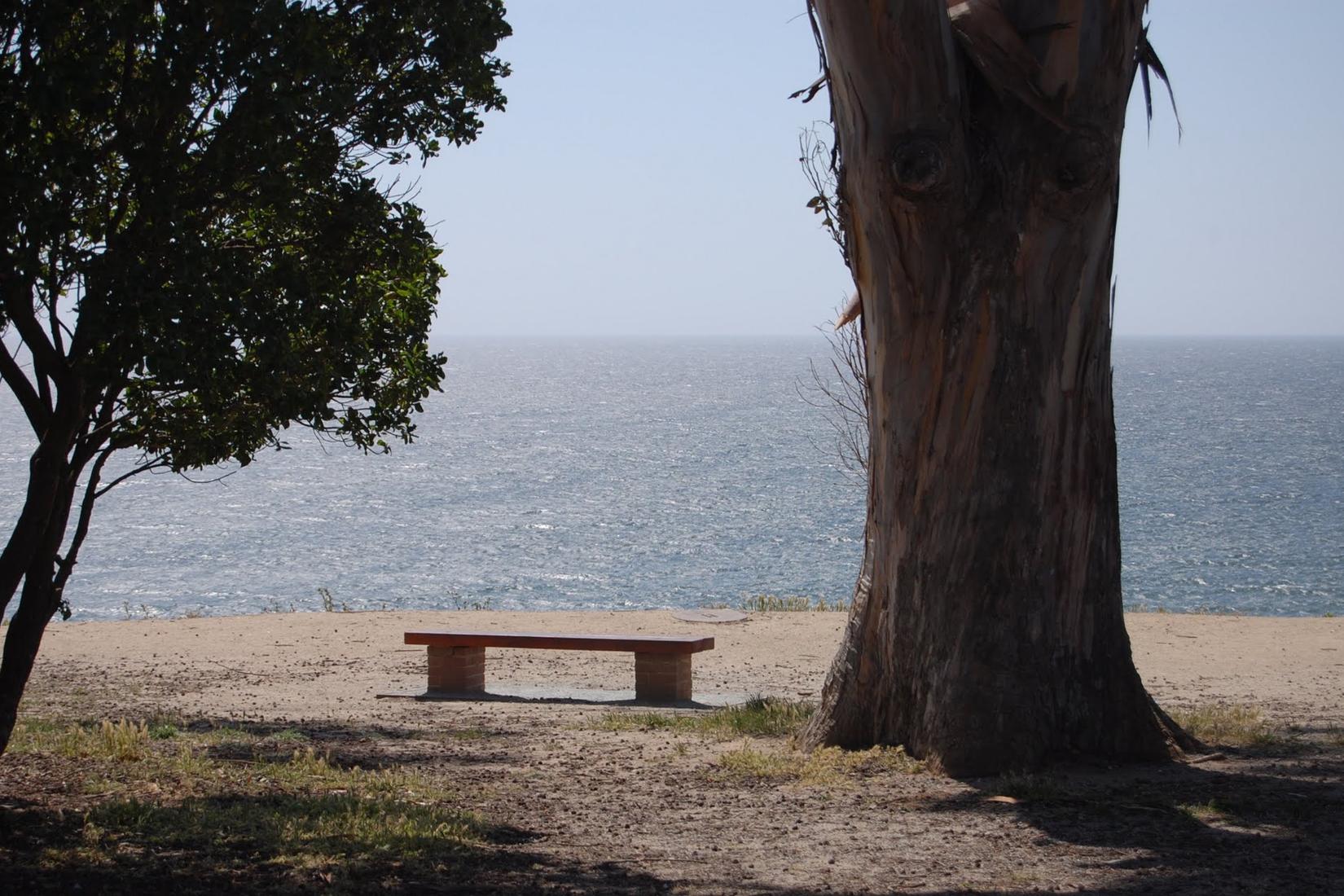 Sandee - Manresa State Beach - La Selva Beach