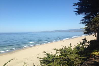 Sandee - Manresa State Beach - La Selva Beach