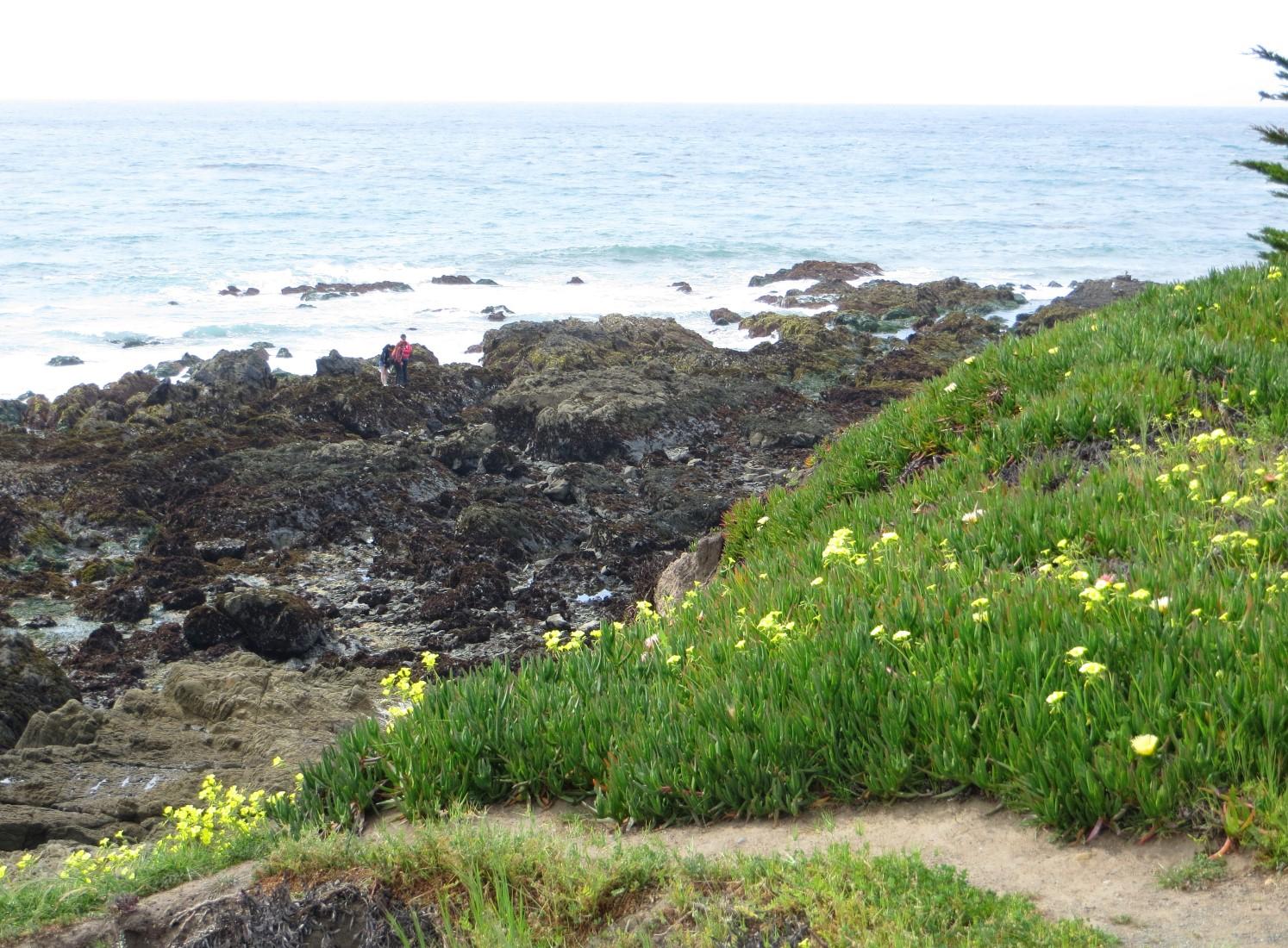 Sandee - Lampton Cliffs County Park