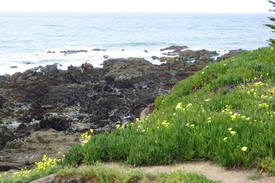 Sandee Lampton Cliffs County Park Photo